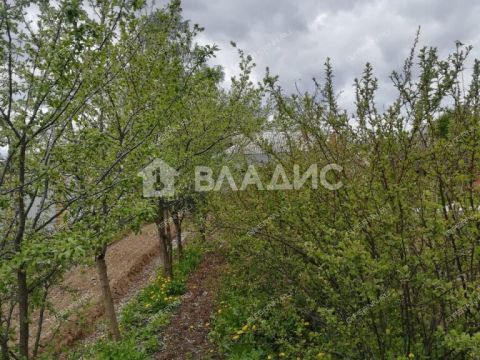 dom-poselok-kostenevo-balahninskiy-municipalnyy-okrug фото