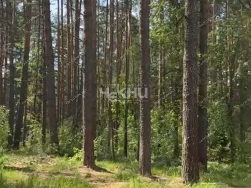 земельный участок 77 соток деревня Зуево