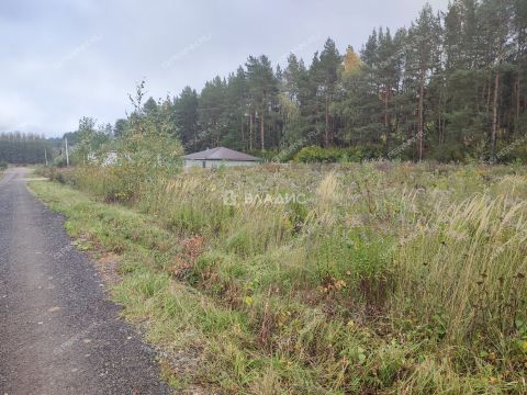 selo-kamenki-bogorodskiy-municipalnyy-okrug фото