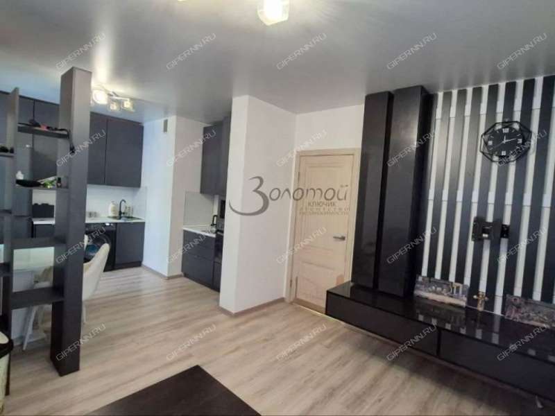 двухкомнатная квартира на Русской улице улице дом 9 деревня Анкудиновка