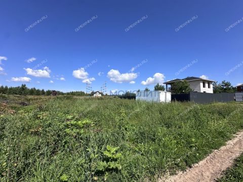 selo-dudenevo-bogorodskiy-municipalnyy-okrug фото
