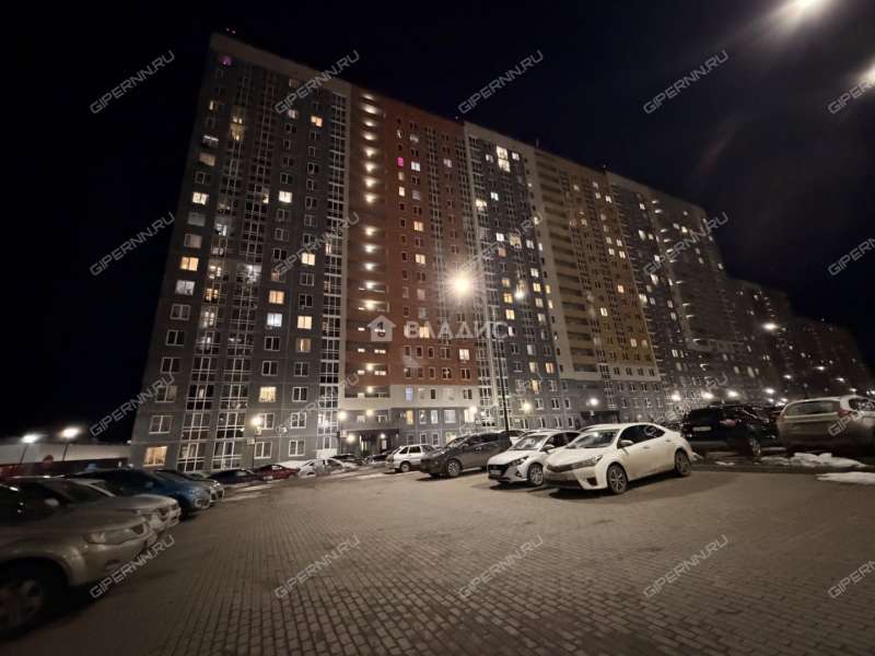 однокомнатная квартира на Русской улице улице дом 4 деревня Анкудиновка