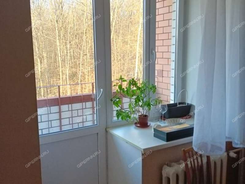 трёхкомнатная квартира на улице Ванеева дом 221