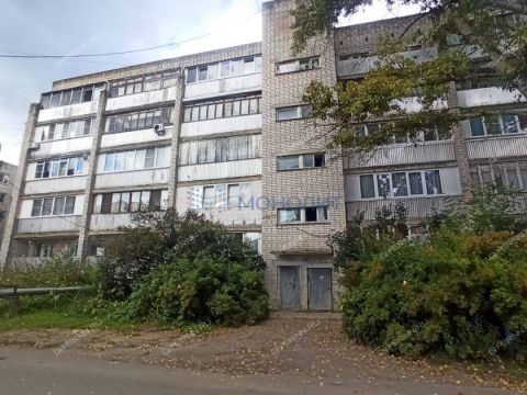 1-komnatnaya-poselok-druzhnyy-kstovskiy-rayon фото