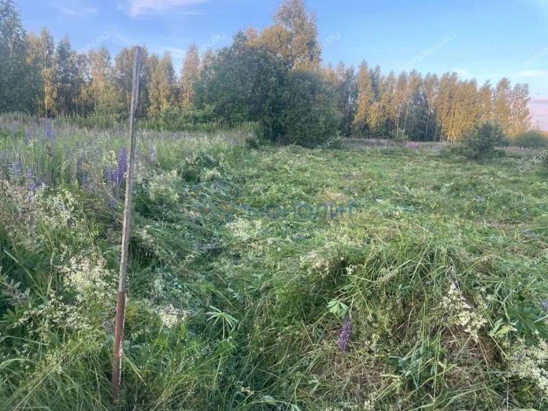 земельный участок 30 соток Интернациональная улица село Пологовка