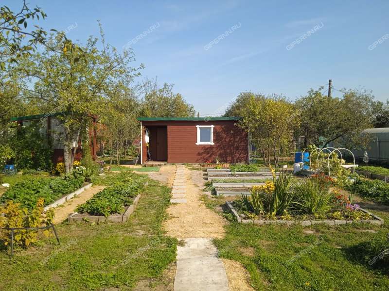 дача на СНТ Надежда