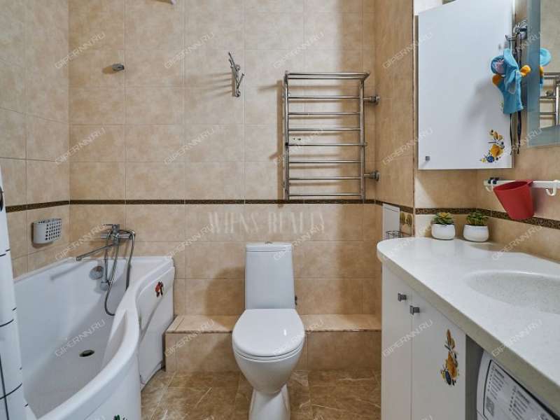 трёхкомнатная квартира на Русской улице улице дом 4 деревня Анкудиновка