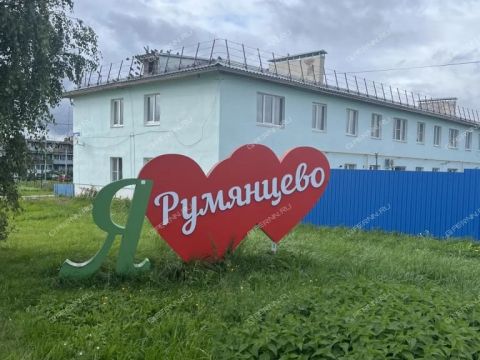 3-komnatnaya-selo-rumyancevo-dalnekonstantinovskiy-rayon фото