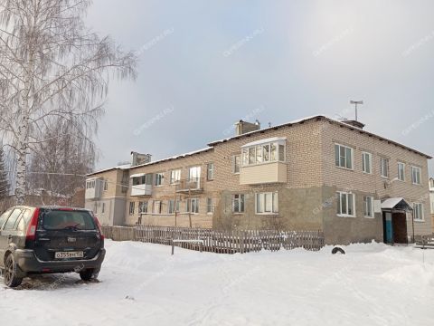 1-komnatnaya-derevnya-omanovo-krasnoslobodskiy-selsovet-gorodskoy-okrug-bor фото