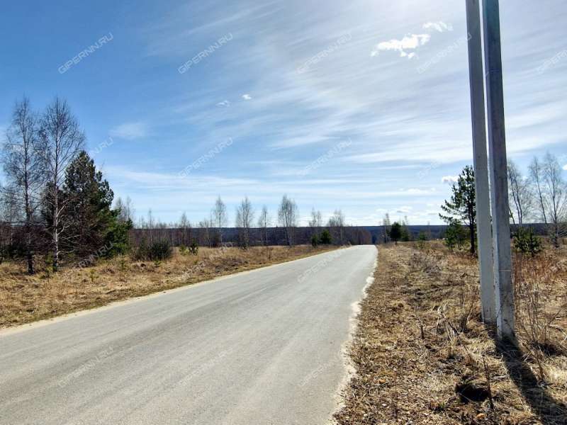 земельный участок 20,9 сотки деревня Кривая Шелокша