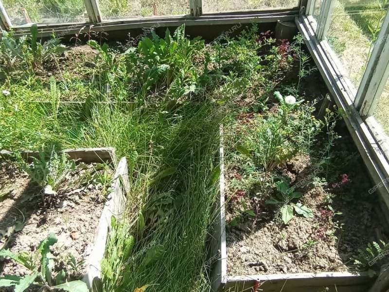 дача на  СТ №12 Ягодное