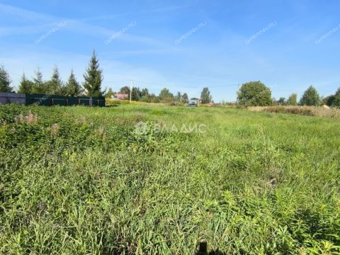 derevnya-krashovo-bogorodskiy-municipalnyy-okrug фото