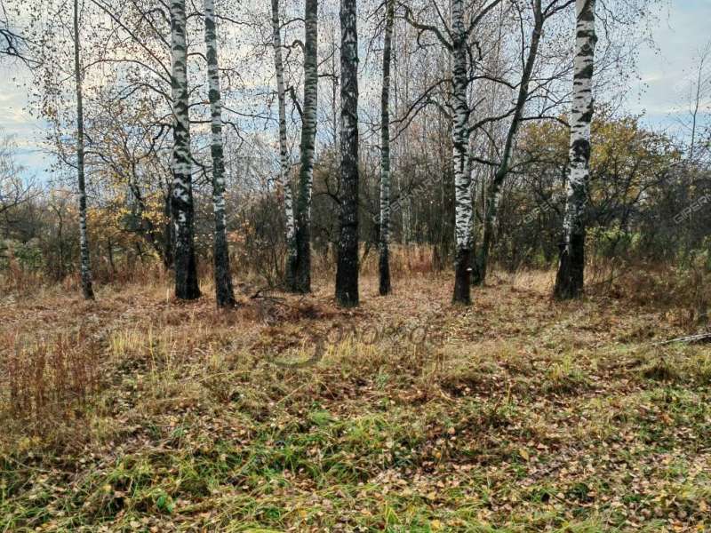 земельный участок 11 соток деревня Золотово