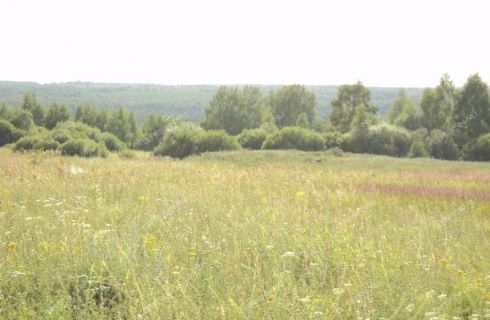 Купить Дом В Афанасьево Александровского