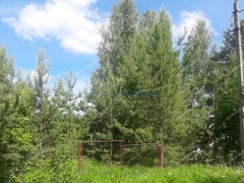 dom-selo-ilino-zaborskoe-semenovskiy-gorodskoy-okrug фото