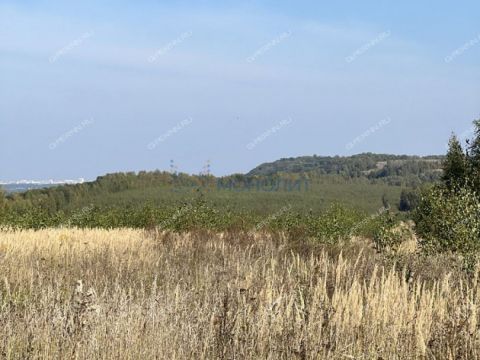 selo-arapovo-bogorodskiy-municipalnyy-okrug фото