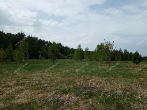 derevnya-nepecino-bogorodskiy-municipalnyy-okrug фото
