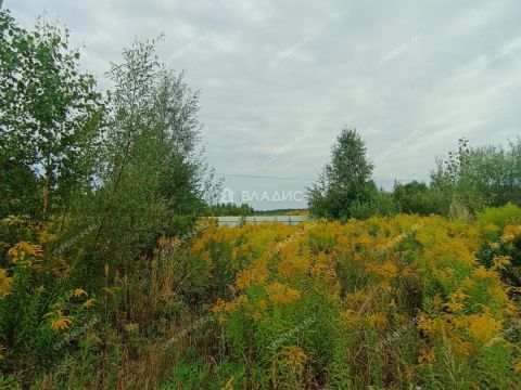 derevnya-knyazhevo-gorodskoy-okrug-bor фото