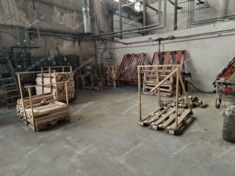 derevnya-prokoshevo-kstovskiy-rayon фото