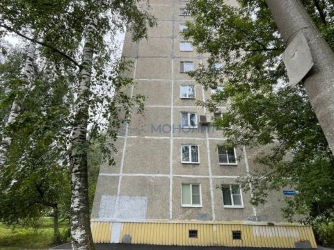 3-komnatnaya-ul-efremova-d-17 фото