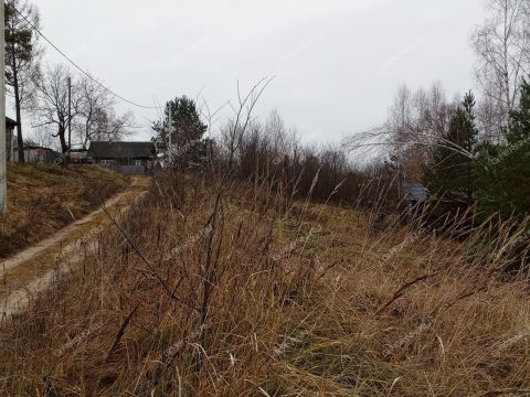 derevnya-orehovo-gorodskoy-okrug-bor фото