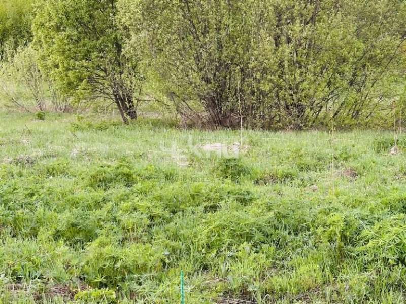 земельный участок 20 соток Семена Захарова село Дуденево