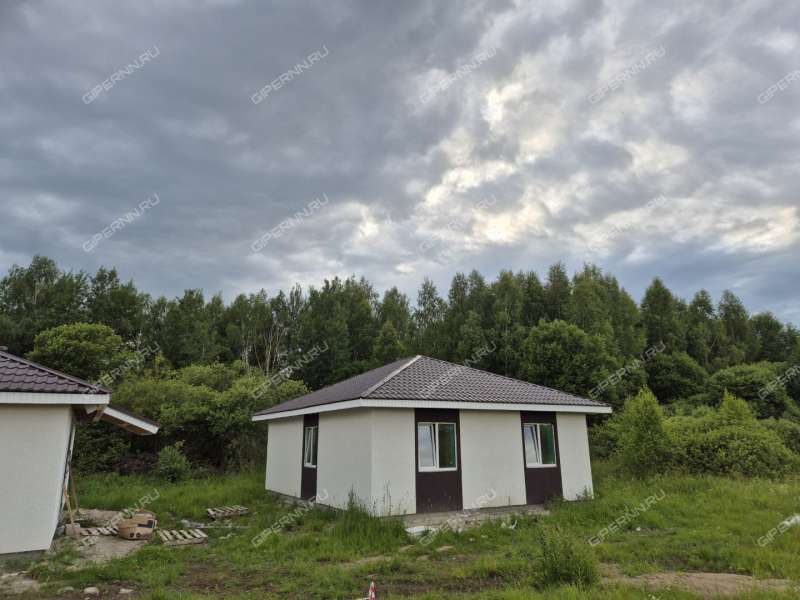 дом на Героя Демина ул. деревня Пруды