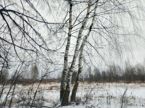 selo-bezvodnoe-kstovskiy-rayon фото