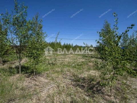 derevnya-burcevo-bogorodskiy-municipalnyy-okrug фото