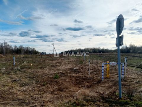 derevnya-inyutino-bogorodskiy-municipalnyy-okrug фото