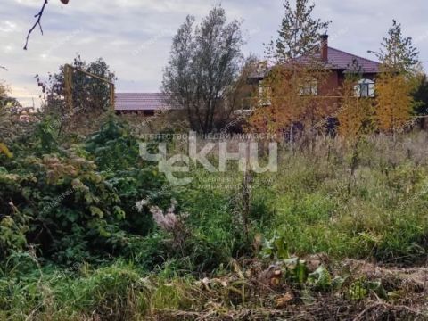 selo-kadnicy-kstovskiy-rayon фото