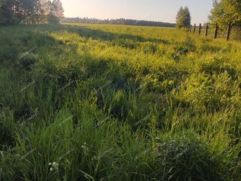 земельный участок 18 соток деревня Мошкино, Бриляковский сельсовет