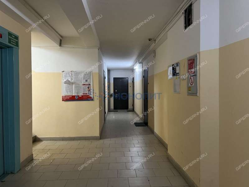 однокомнатная квартира на Окской набережной дом 19 город Дзержинск