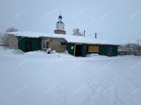 selo-uspenskoe-gorodskoy-okrug-pervomaysk фото