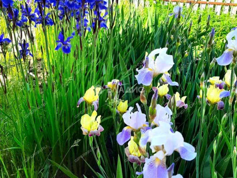 дом на улице 1-я Южная деревня Черемисское