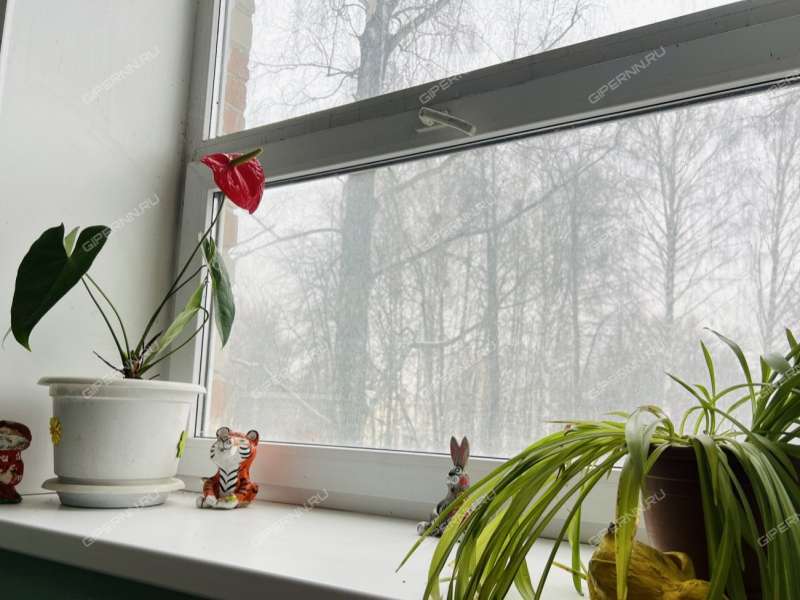 двухкомнатная квартира на улице Чванова дом 6 город Кстово