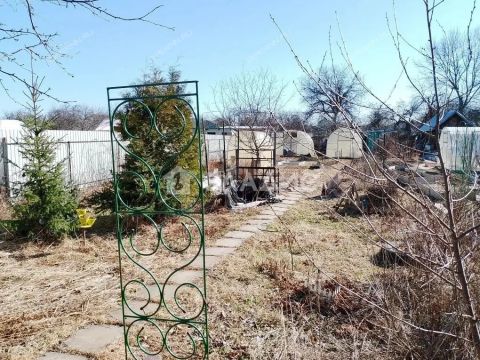 dacha-poselok-doskino-liniya-26-ya фото