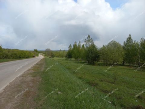 derevnya-inyutino-bogorodskiy-municipalnyy-okrug фото