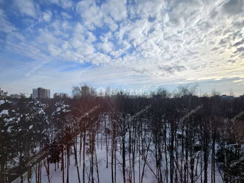 двухкомнатная квартира на Анкудиновском шоссе дом 11Б