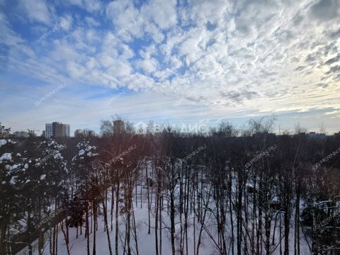 2-komnatnaya-sh-ankudinovskoe-d-11b фото