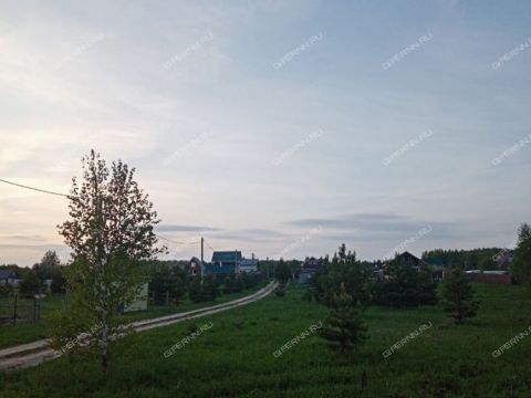 derevnya-nepecino-bogorodskiy-municipalnyy-okrug фото
