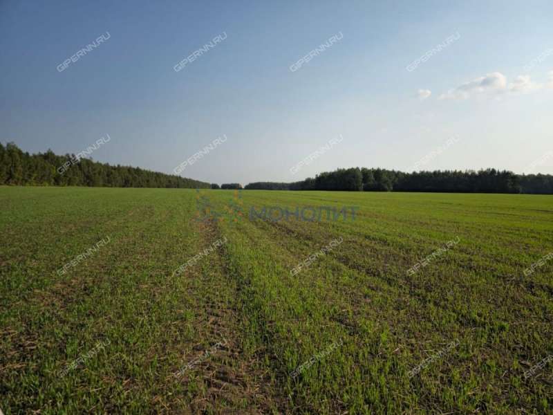 земельный участок под сельхоз назначение в Дальнеконстантиновском районе Нижегородской области