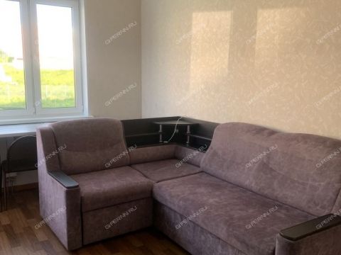 2-komnatnaya-ul-2-ya-dorozhnaya-d-14 фото