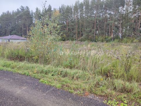 selo-kamenki-bogorodskiy-municipalnyy-okrug фото