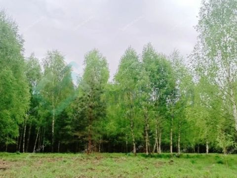 dom-derevnya-krutec-gorodskoy-okrug-bor фото