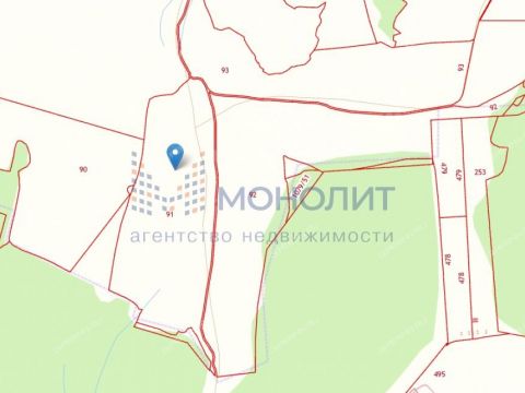 derevnya-timonino-bogorodskiy-municipalnyy-okrug фото