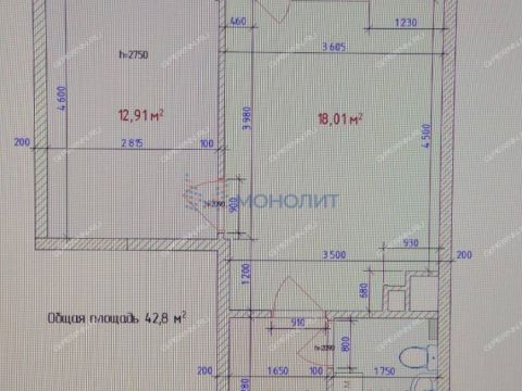 1-komnatnaya-derevnya-afonino-kstovskiy-rayon фото