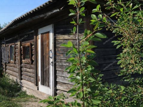 dacha-gorod-gorodec-gorodeckiy-rayon фото