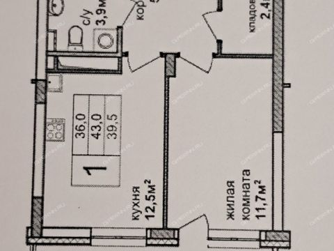 1-komnatnaya-ul-zhurova-d-15 фото
