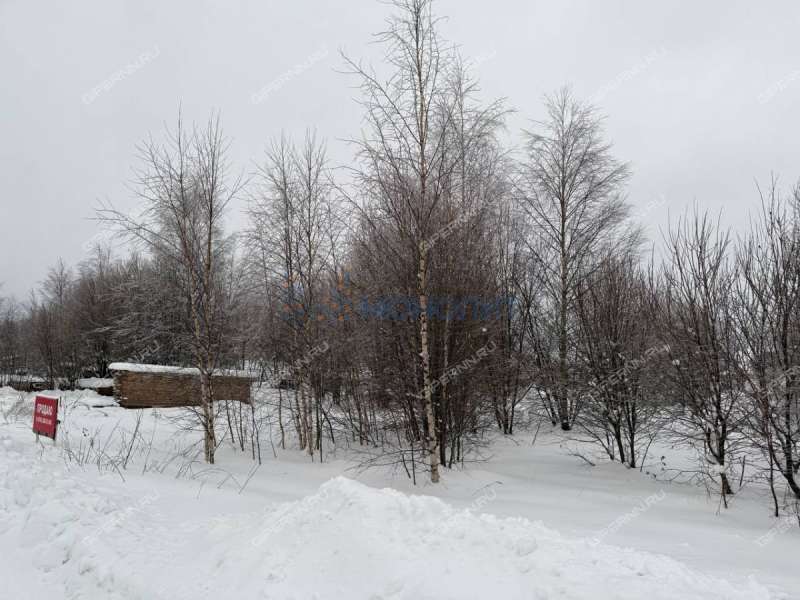 земельный участок 20,6 сотки Дружная улица село Дивеево